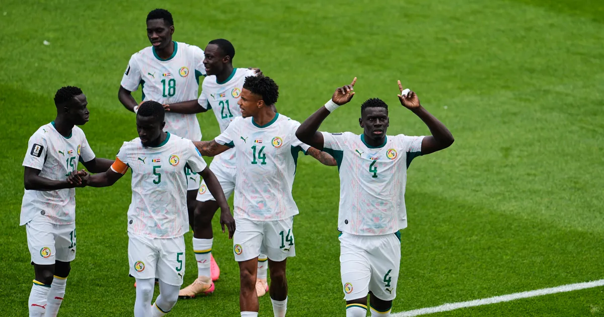 Belgija - Senegal: Meč koji najavljuje spektakl BiH, šampion kojem su oduzeli titulu merka iznenađenje