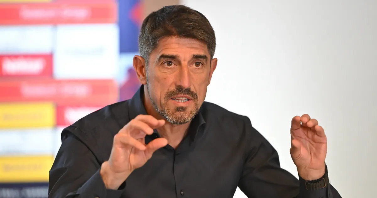 "Veljko Paunović je bio povređen, videlo se... Nije njegova odgovornost": Nikolić otkrio nepoznate detalje